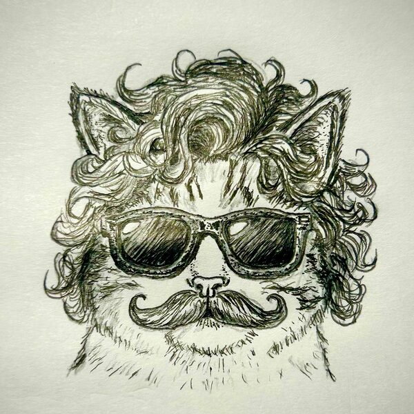 Pen and ink drawing of a curly-haired cat with sunglasses and a mustache.